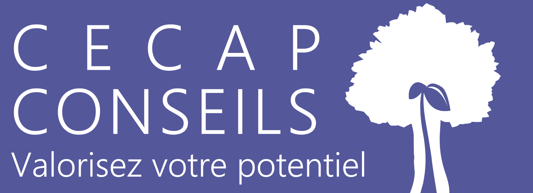 Cecap Conseils